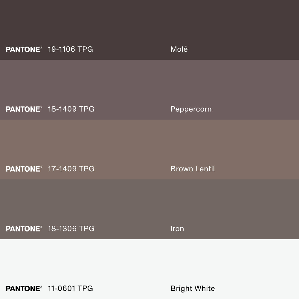 ESPRESSO MARTINI, Artwork on stretched canvas, framed in Brown Oak