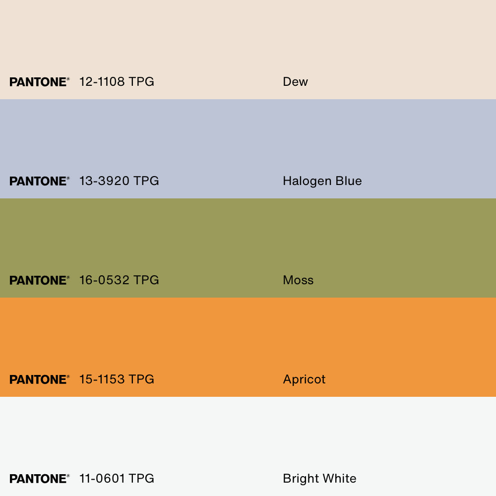 AMSTERDAM BLOOM, Artwork on stretched canvas, framed Natural Light