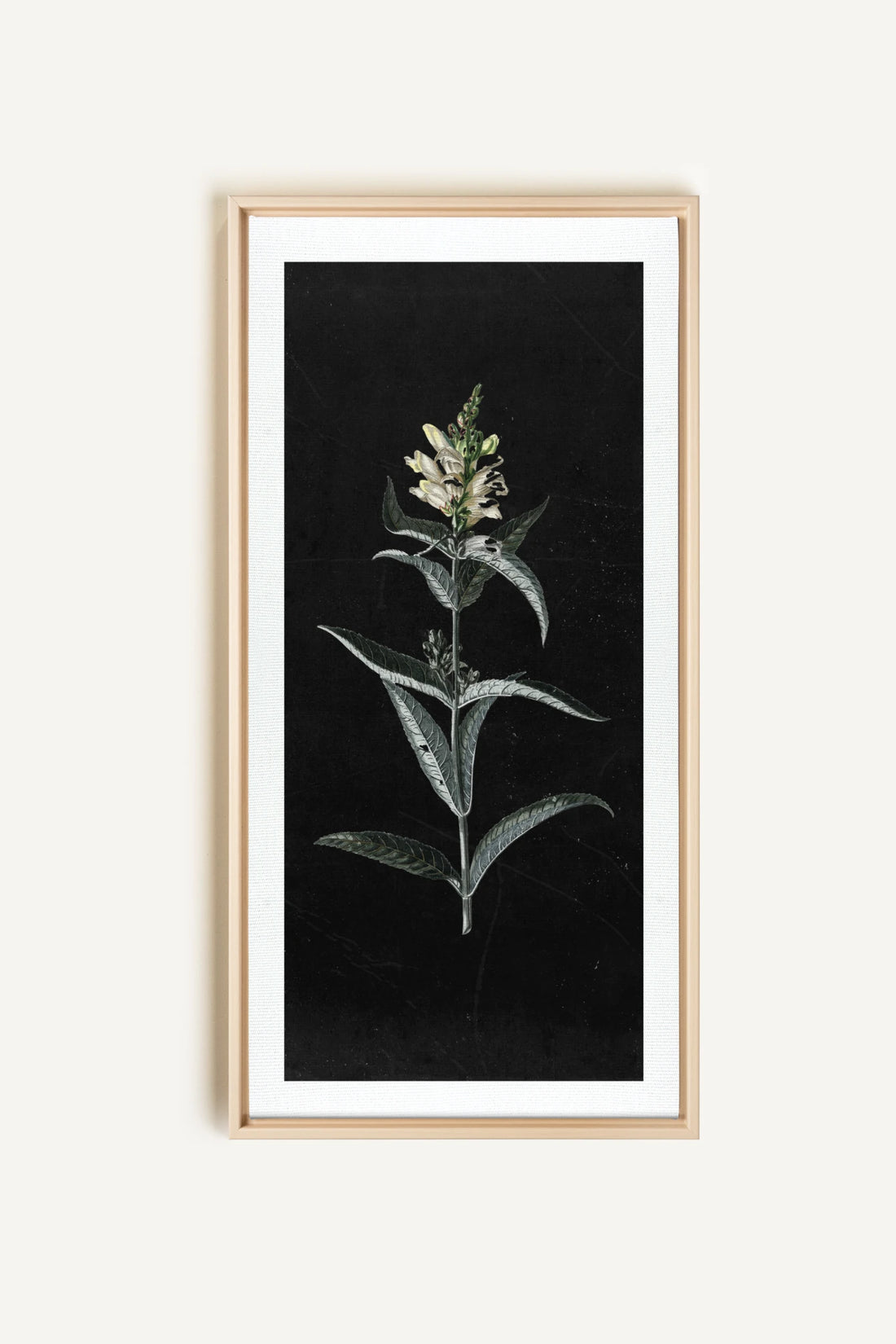 GUARDIAN BLOOM, Oeuvre sur toile étirée, encadré Naturel Clair