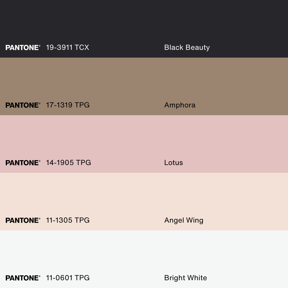 HÉRISSON, Oeuvre sur toile étirée, encadré Noir