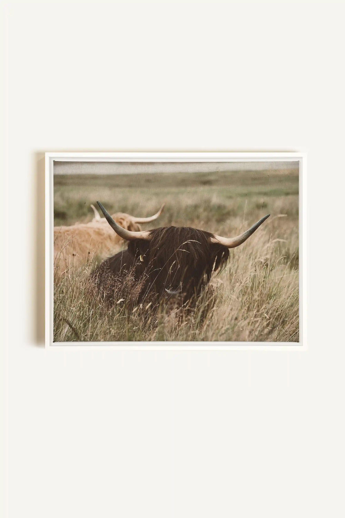 HIGHLAND SPIRIT, Oeuvre sur toile étirée, encadré Blanc