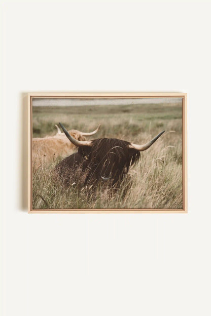 HIGHLAND SPIRIT, Artwork on stretched canvas, framed Natural Light