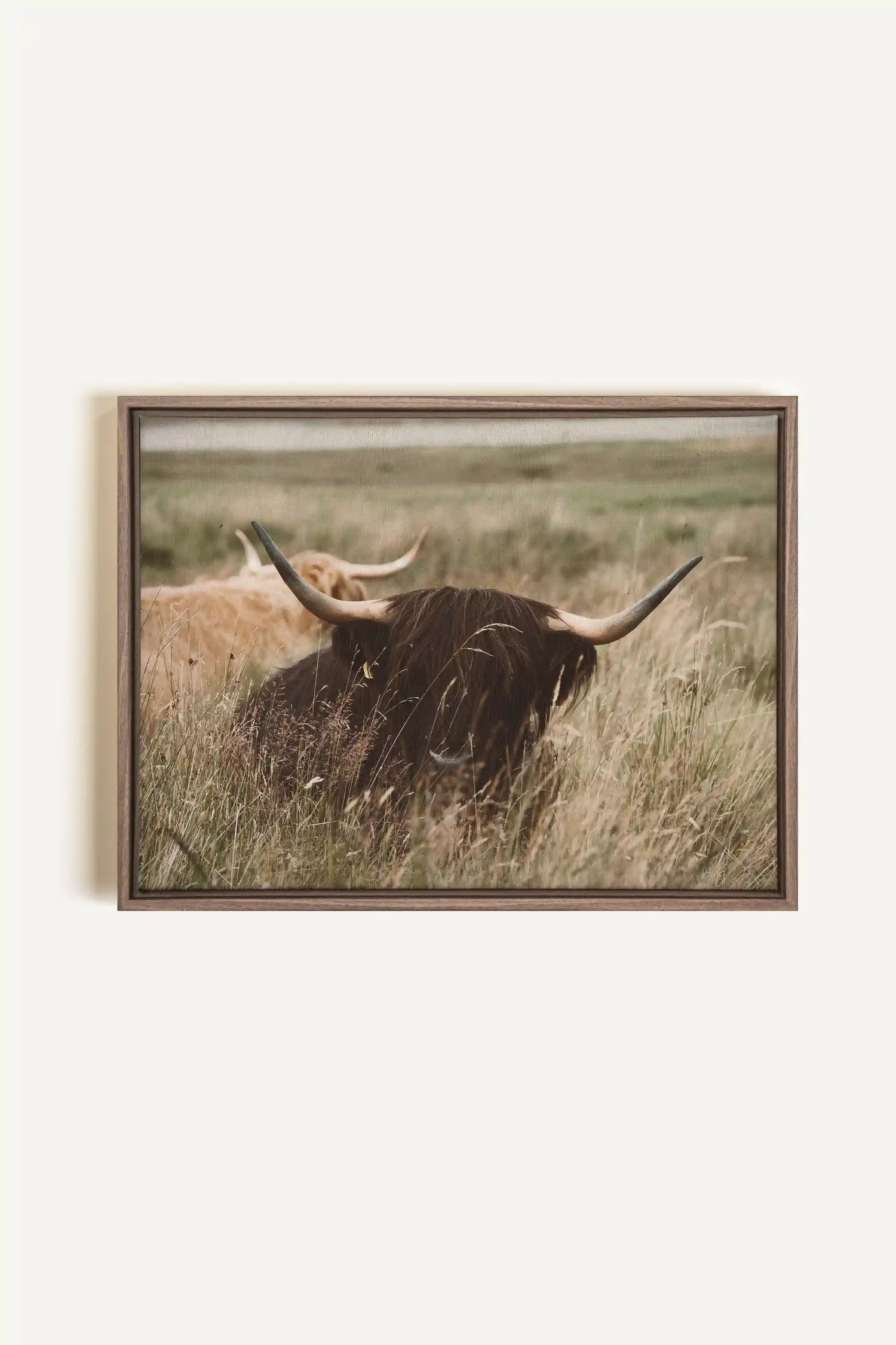 HIGHLAND SPIRIT, Artwork on stretched canvas, framed in Brown Oak