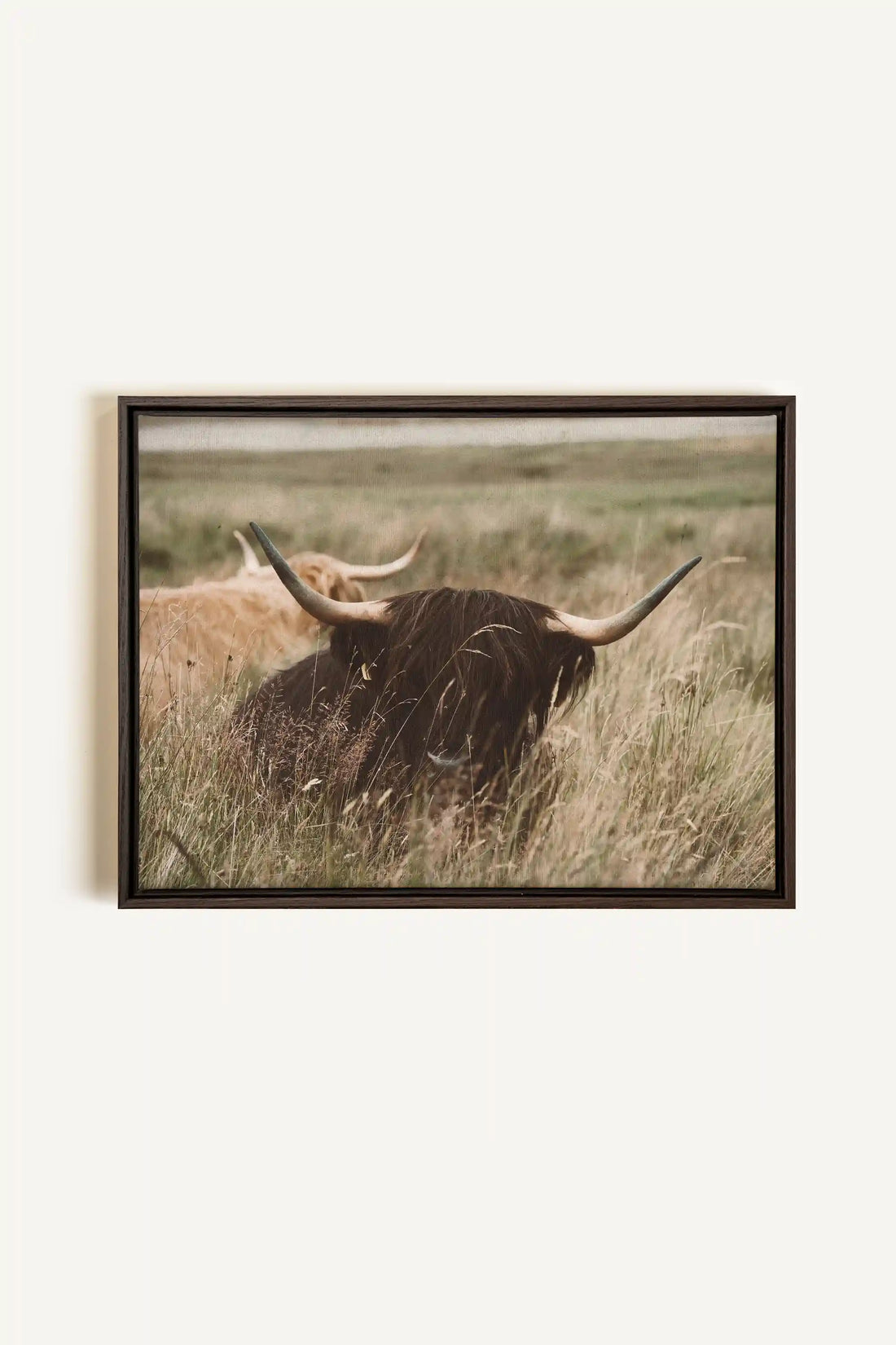 HIGHLAND SPIRIT, Artwork on stretched canvas, framed in Walnut Brown