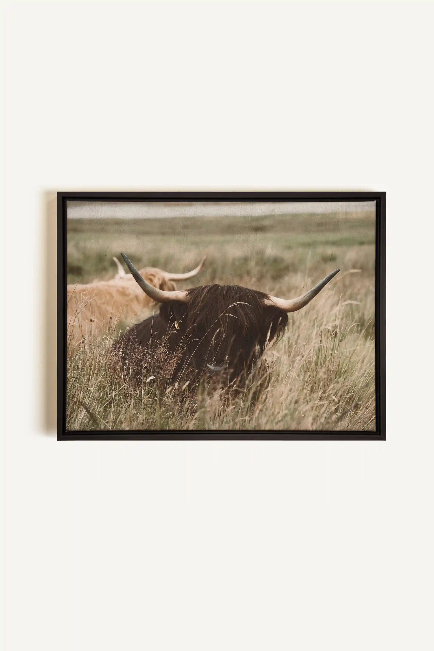HIGHLAND SPIRIT, Artwork on stretched canvas, framed in black