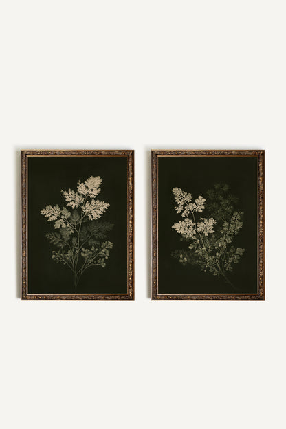 Herbe des bois,  ensemble de 2 œuvres sur toile rigide, encadré bronze