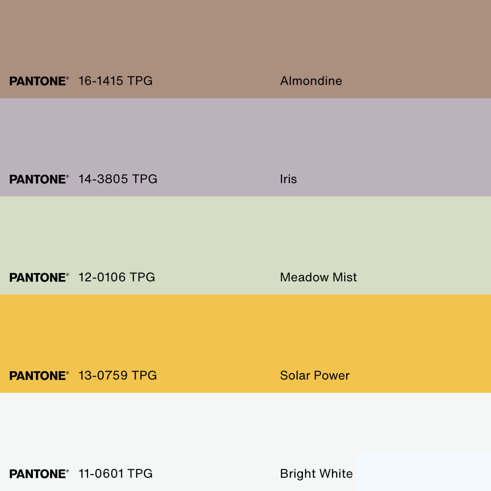 LAPIN, Oeuvre sur toile étirée, encadré Naturel Clair