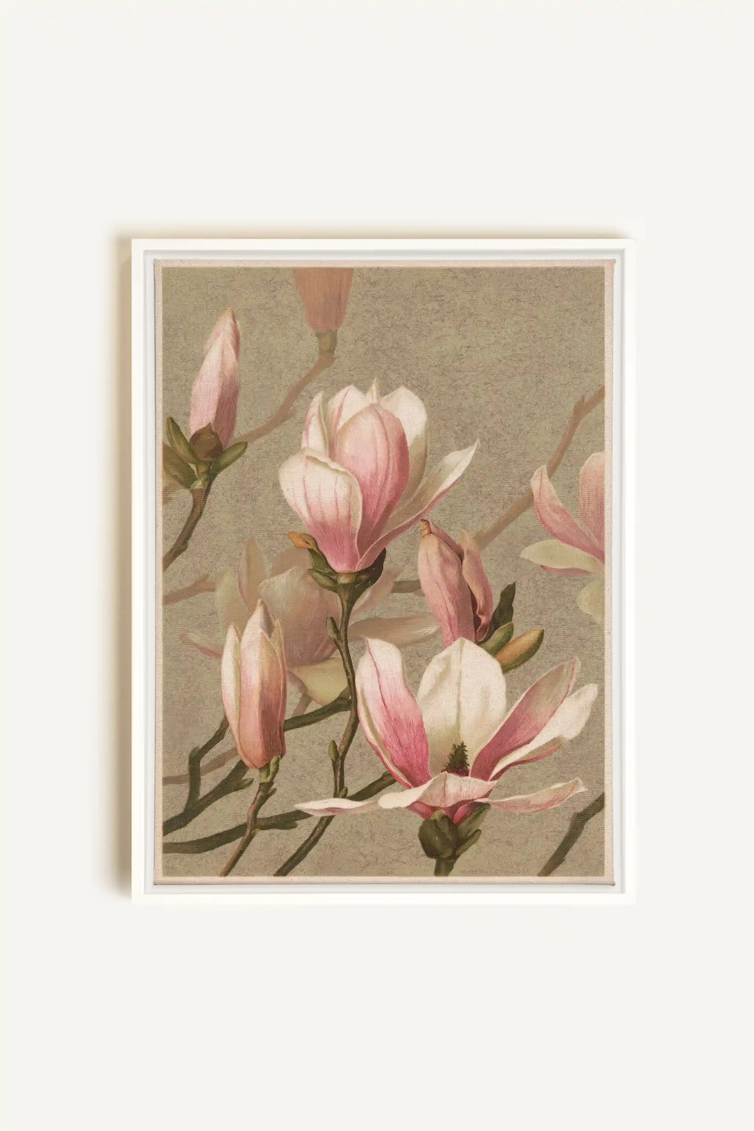 MAGNOLIA WHISPER, Oeuvre sur toile étirée, encadré Blanc