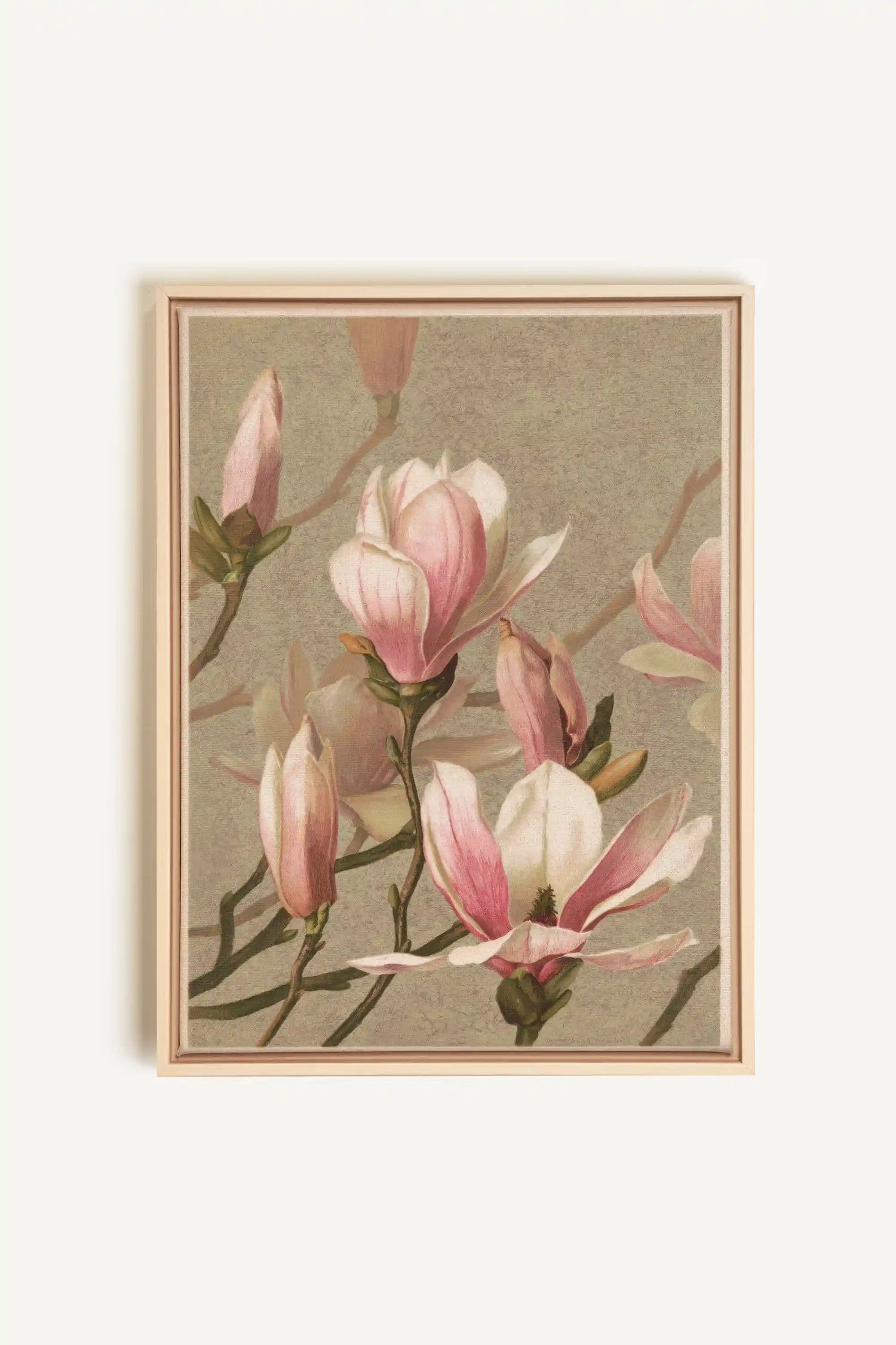 MAGNOLIA WHISPER, Artwork on stretched canvas, framed Natural Light