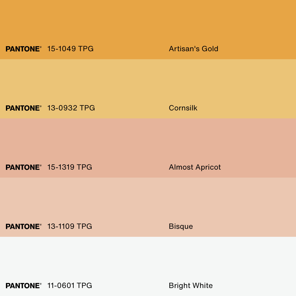 ORANGE MIMOSA, Oeuvre sur toile étirée, encadré Naturel Clair