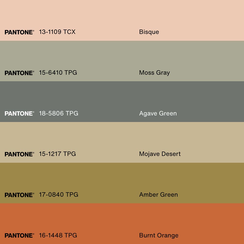 DUO ASSORTIMENT FLORAL, 2 Oeuvres sur toile étirée, encadré Naturel Clair