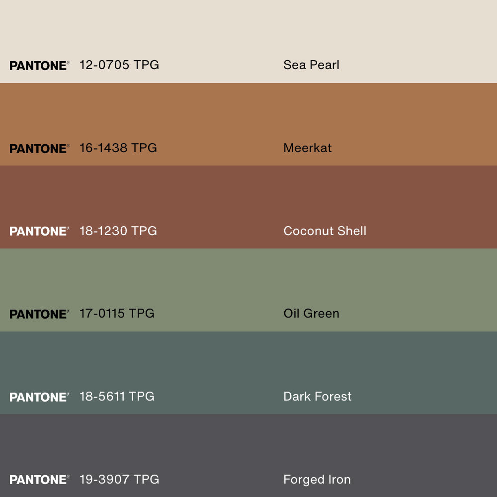 DUO COMPLICITÉ FLORALE, 2 Oeuvres sur toile étirée, encadré Naturel Clair