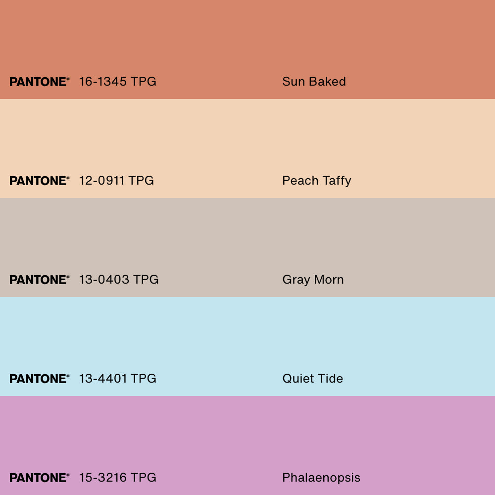 RENARD, Oeuvre sur toile étirée, encadré Naturel Clair