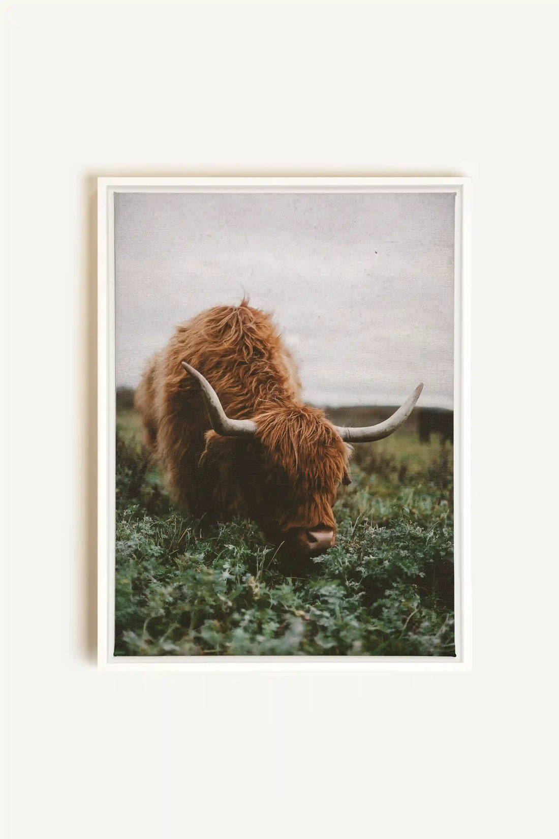 ROOTED SPIRIT, Oeuvre sur toile étirée, encadré Blanc