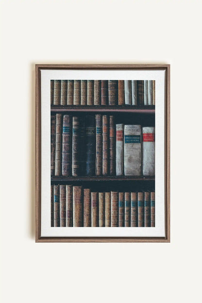 SAVOIR OCCULTE, Artwork on stretched canvas, framed in Brown Oak