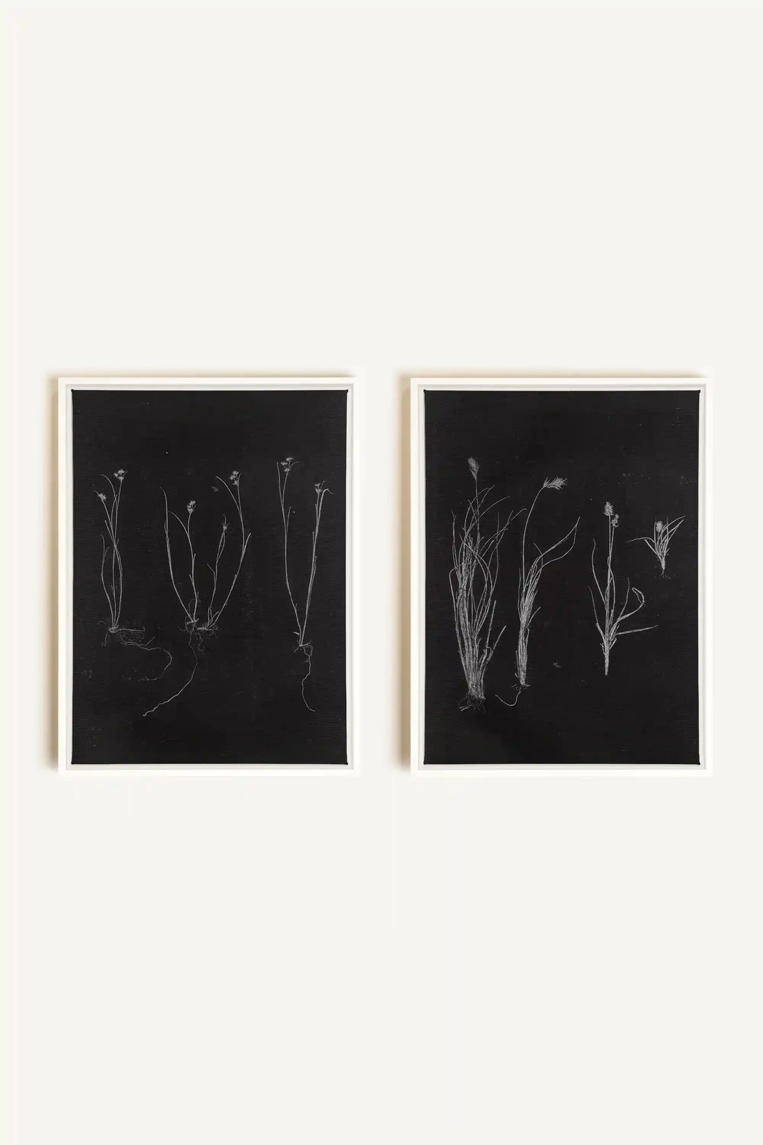 DUO TRACES DE VIE, 2 Oeuvres sur toile étirée, encadré Blanc