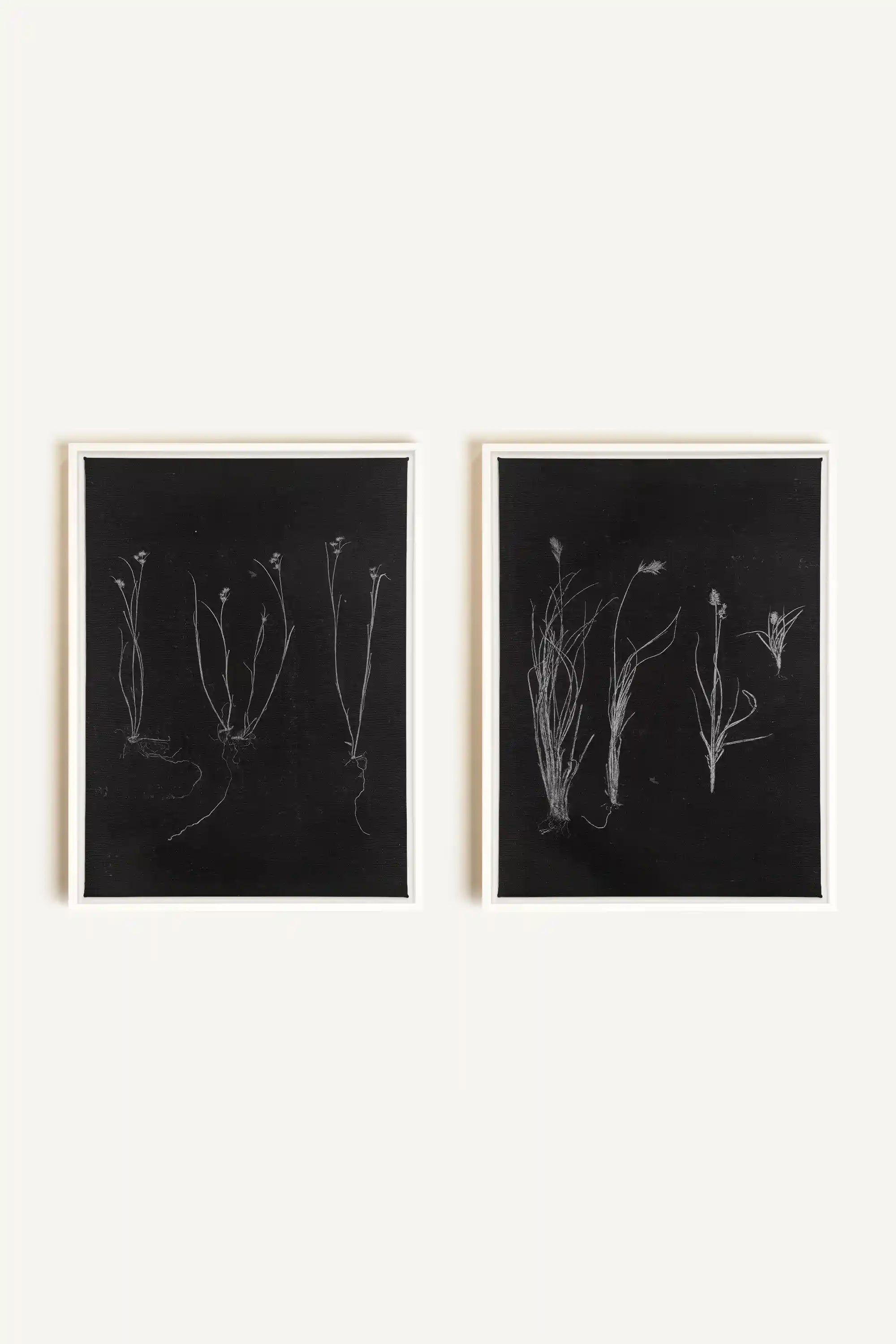 DUO TRACES DE VIE, 2 Oeuvres sur toile étirée, encadré Blanc