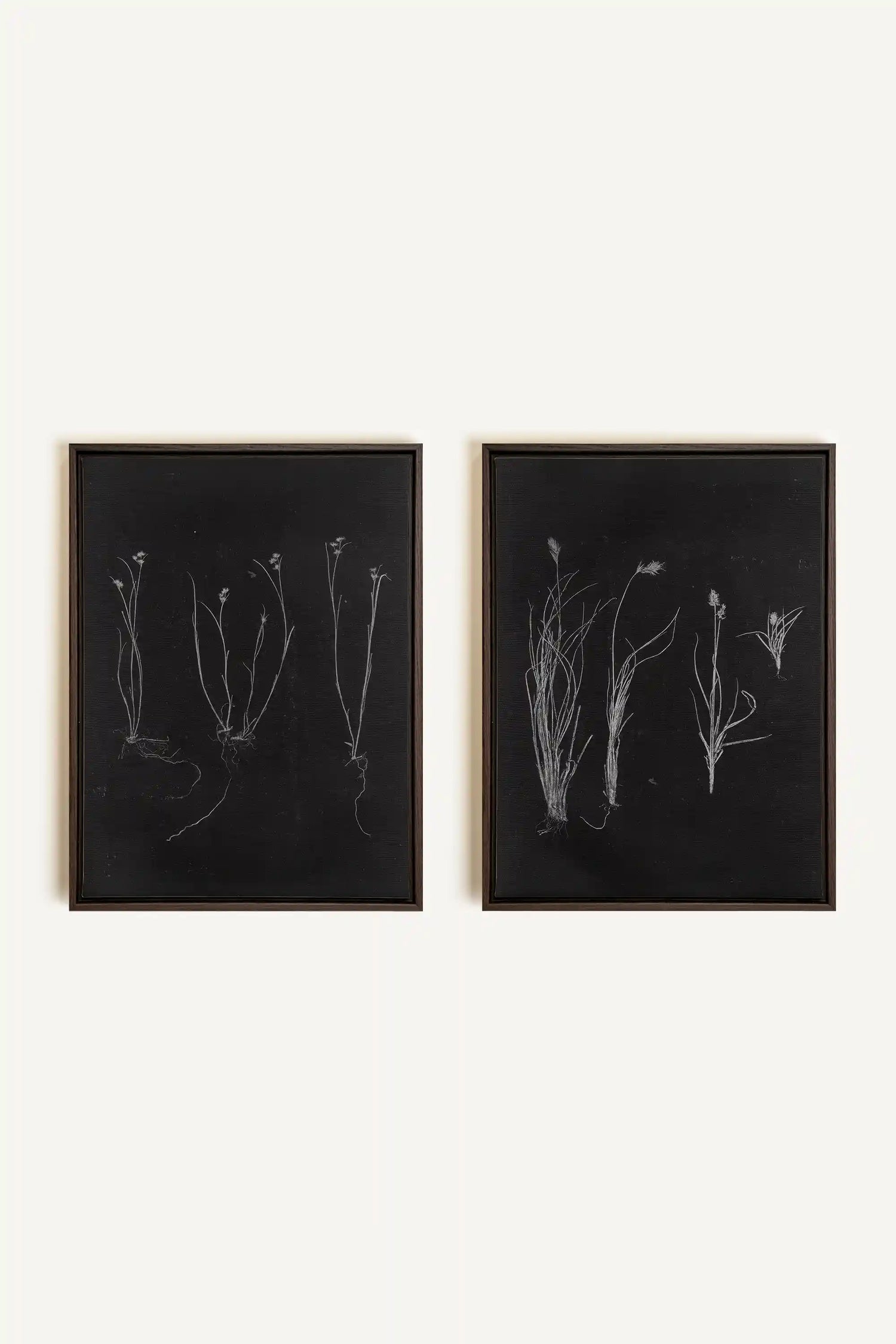 DUO TRACES DE VIE, 2 Oeuvres sur toile étirée, encadré Brun Noyer