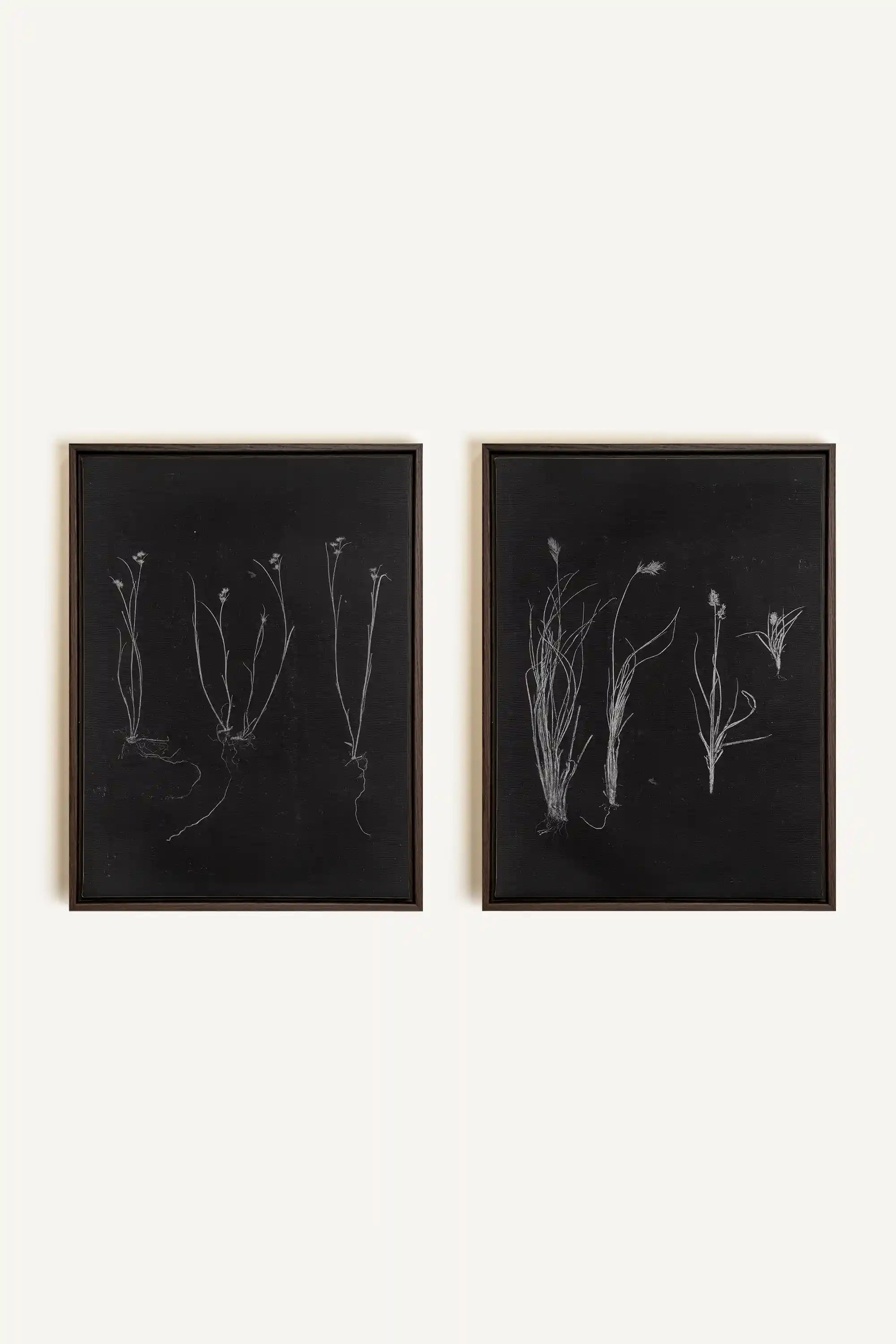 DUO TRACES DE VIE, 2 Oeuvres sur toile étirée, encadré Brun Noyer