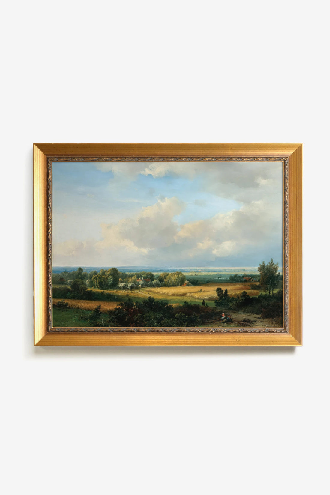 VUE D&