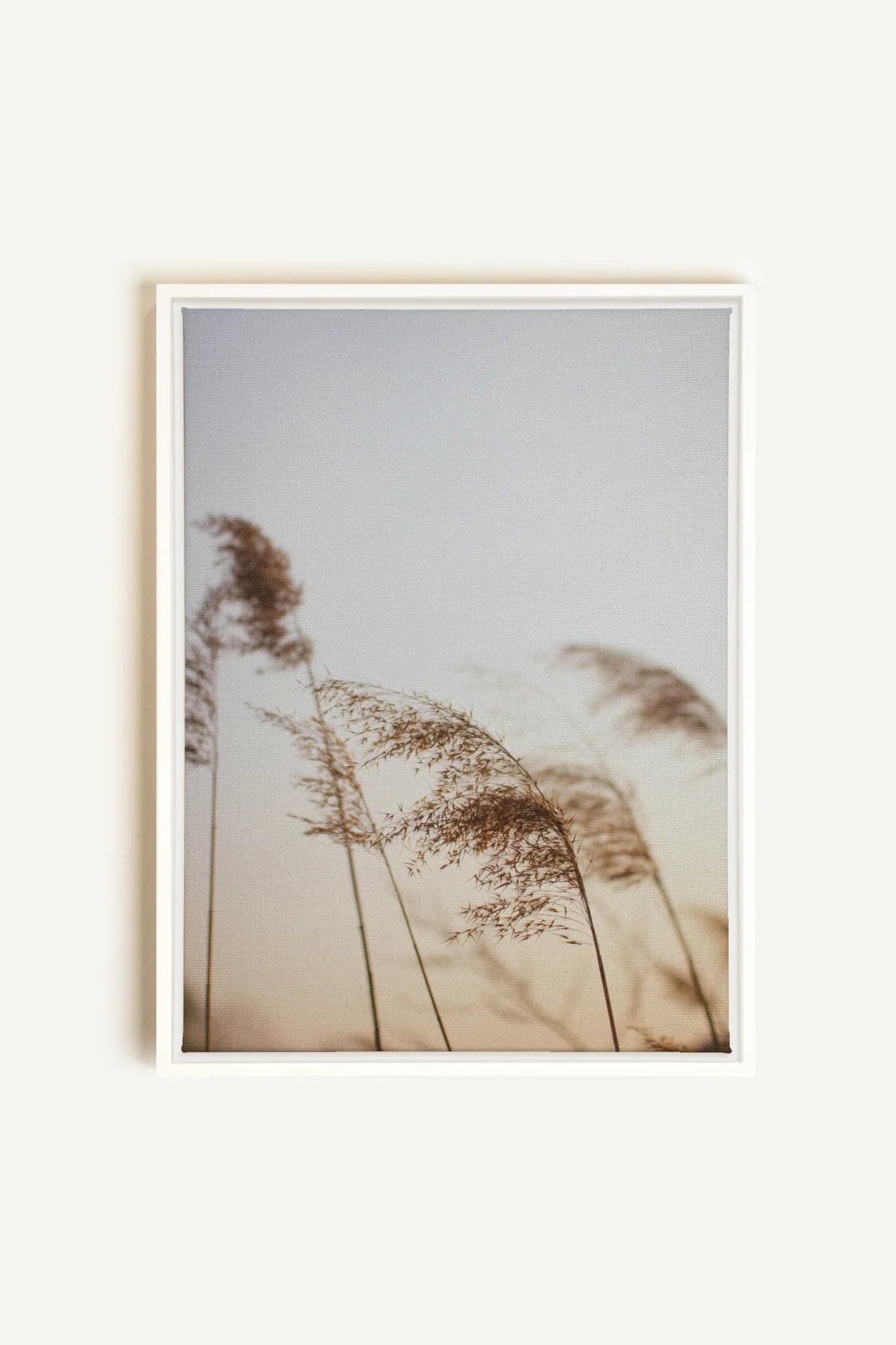 OLEKA CANVAS - AFTERNOON, Oeuvre sur toile étirée, encadré Blanc