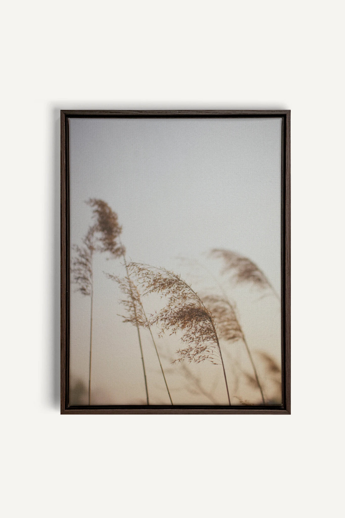 AFTERNOON, Oeuvre sur toile étirée, encadré Brun Noyer