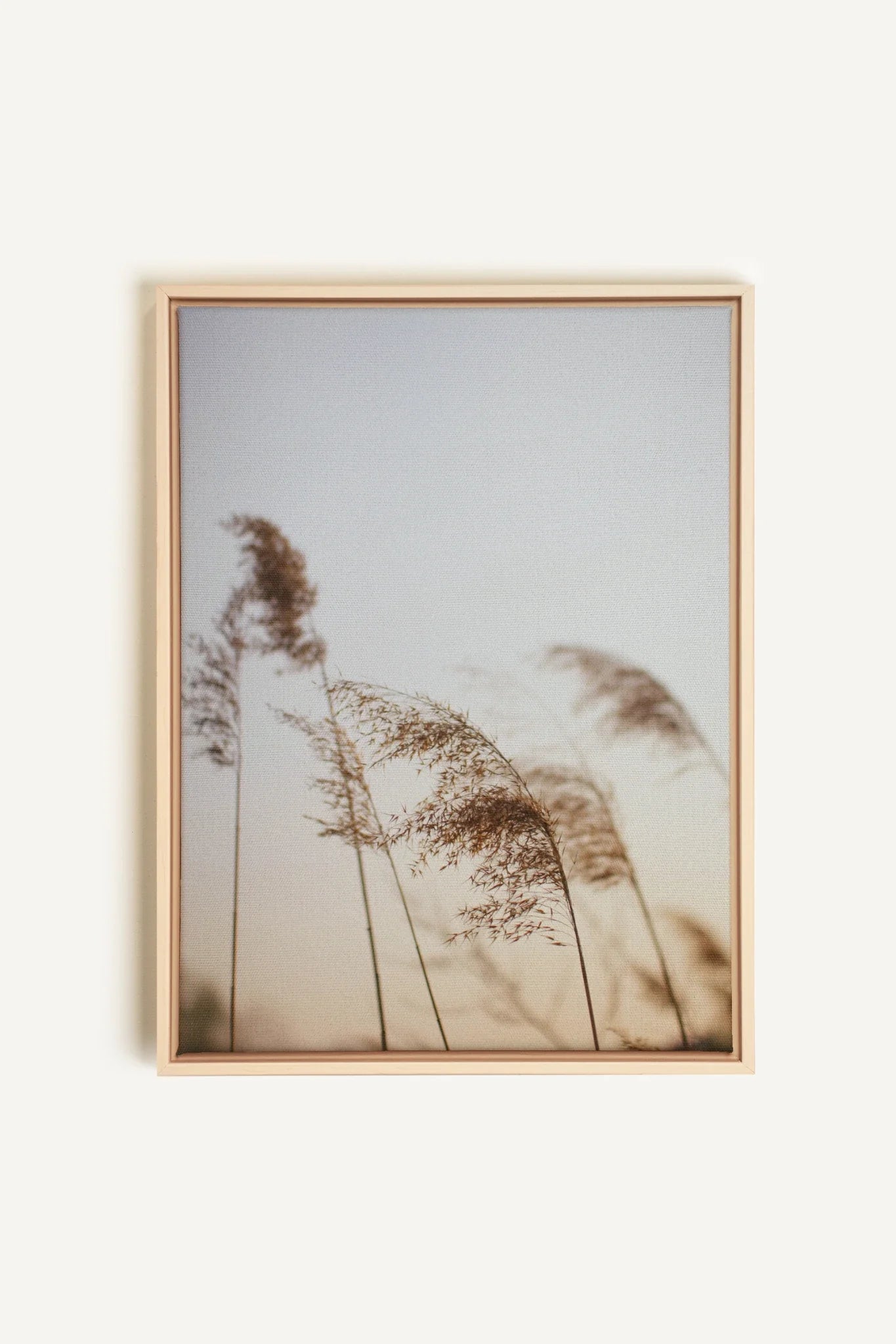 OLEKA CANVAS - AFTERNOON, Oeuvre sur toile étirée, encadré Naturel Clair