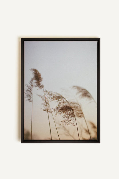 OLEKA CANVAS - AFTERNOON, Oeuvre sur toile étirée, encadré Noir