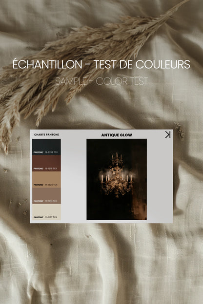 Antique Glow, Oeuvre sur toile rigide, encadré Vintage Argent