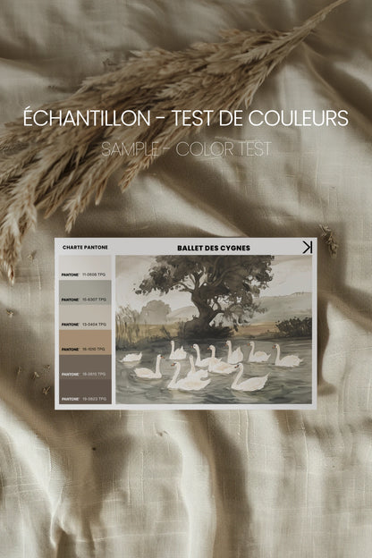 BALLET DES CYGNES, Oeuvre sur toile rigide, encadré Vintage Argent