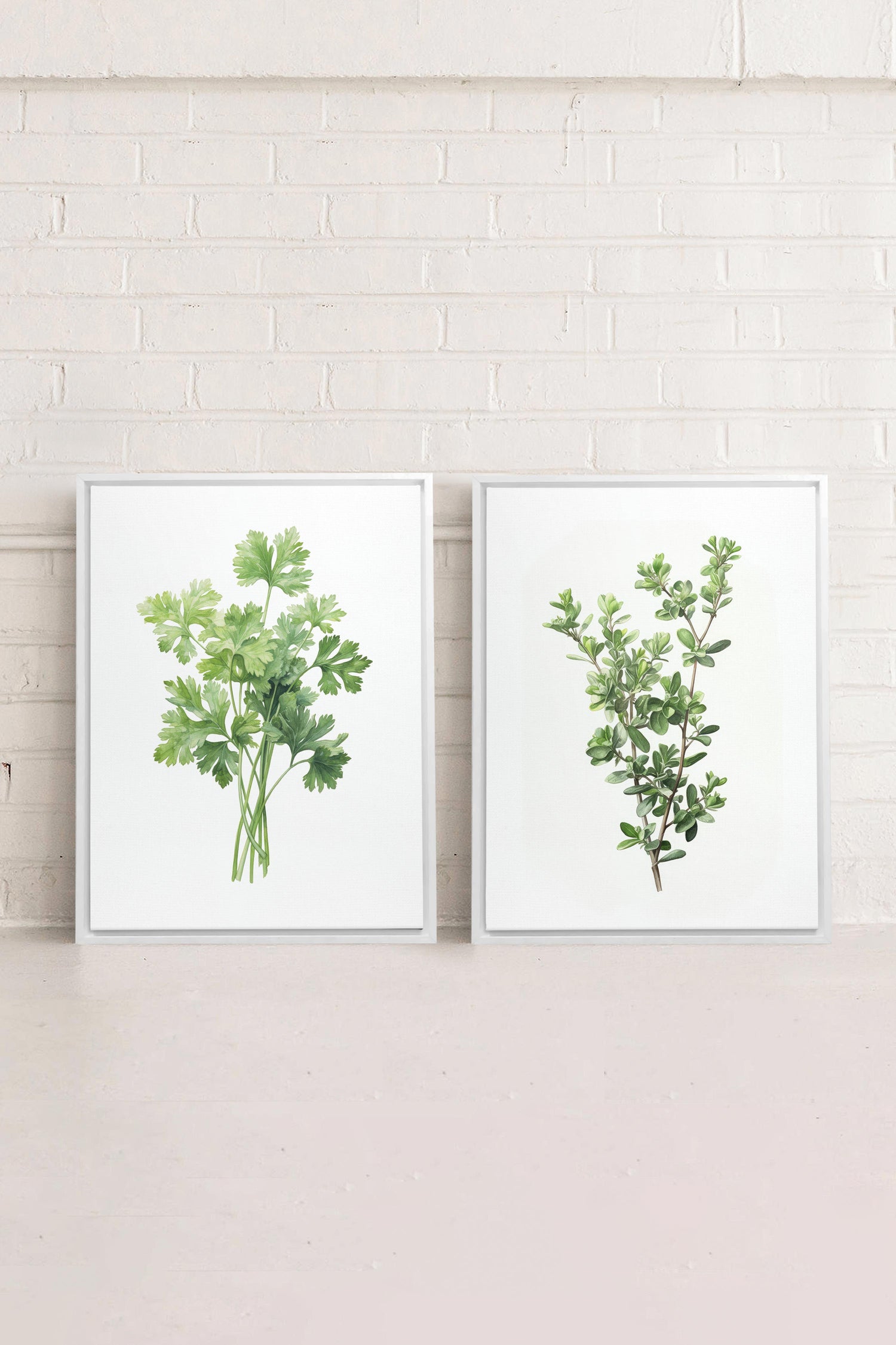 OLEKA CANVAS - DUO FINES HERBES, 2 Oeuvres sur toile étirée, encadré Blanc