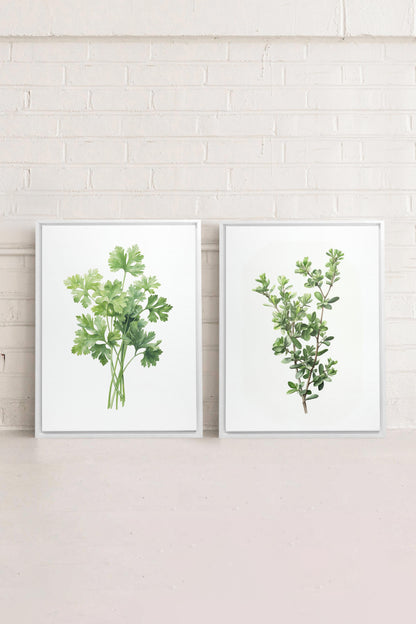 OLEKA CANVAS - DUO FINES HERBES, 2 Oeuvres sur toile étirée, encadré Blanc