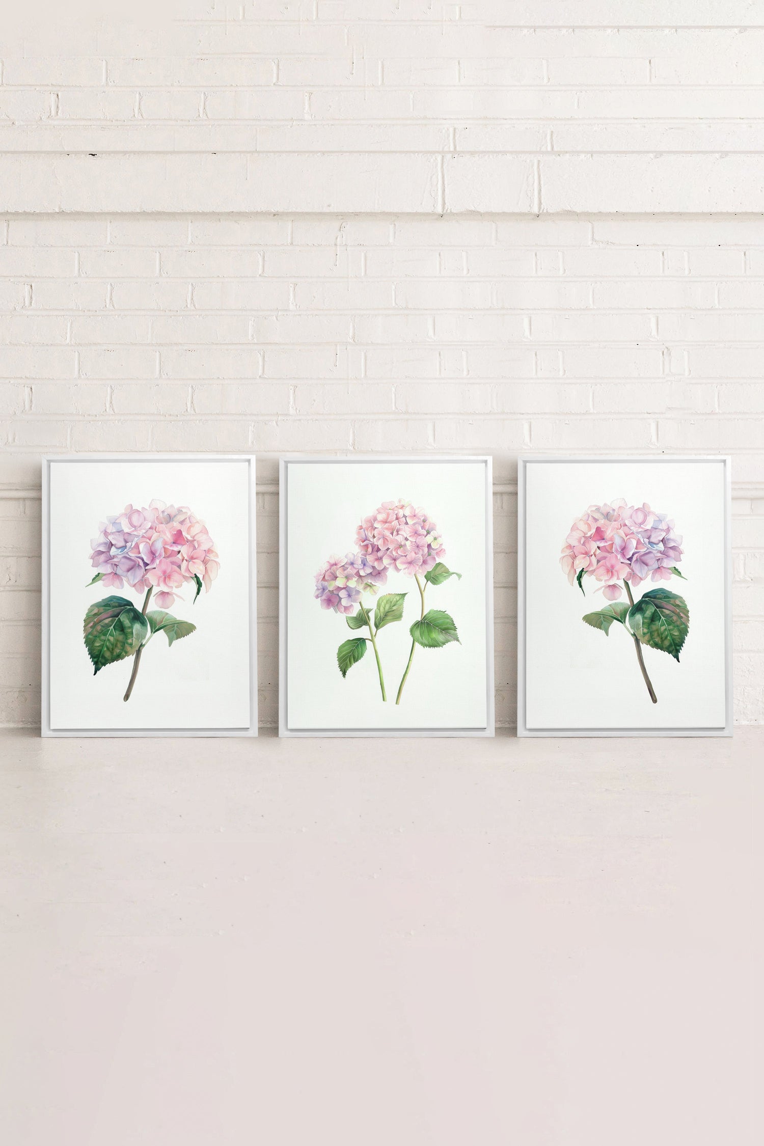 OLEKA CANVAS - BLOSSOMING TRIO, 3 Oeuvres sur toile étirée, encadré Blanc