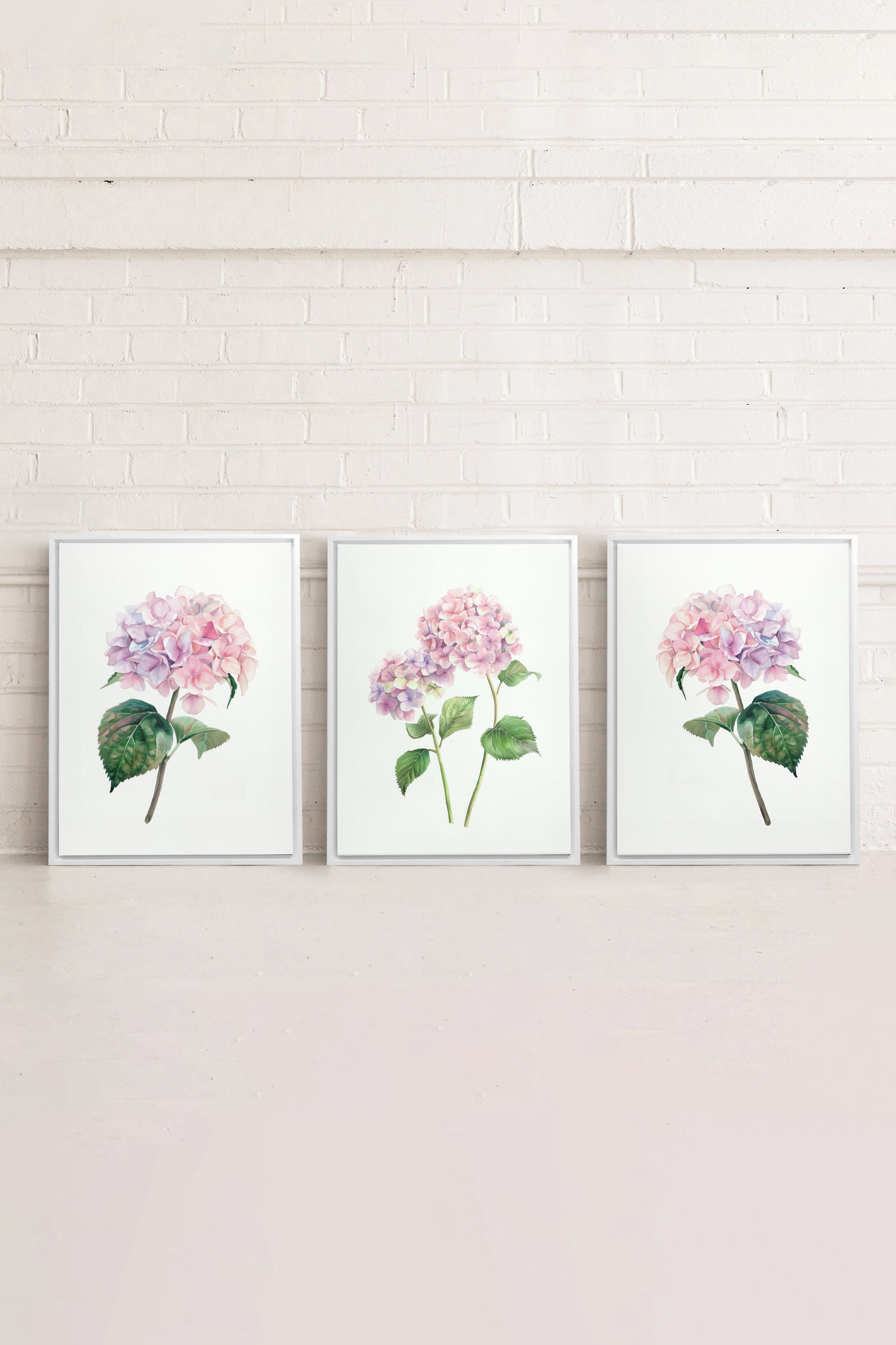 OLEKA CANVAS - BLOSSOMING TRIO, 3 Oeuvres sur toile étirée, encadré Blanc