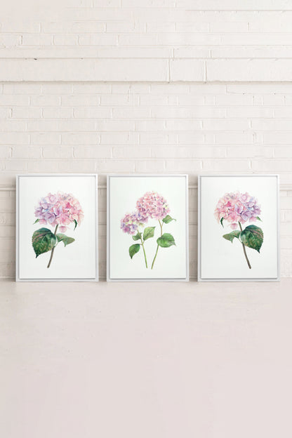 OLEKA CANVAS - BLOSSOMING TRIO, 3 Oeuvres sur toile étirée, encadré Blanc