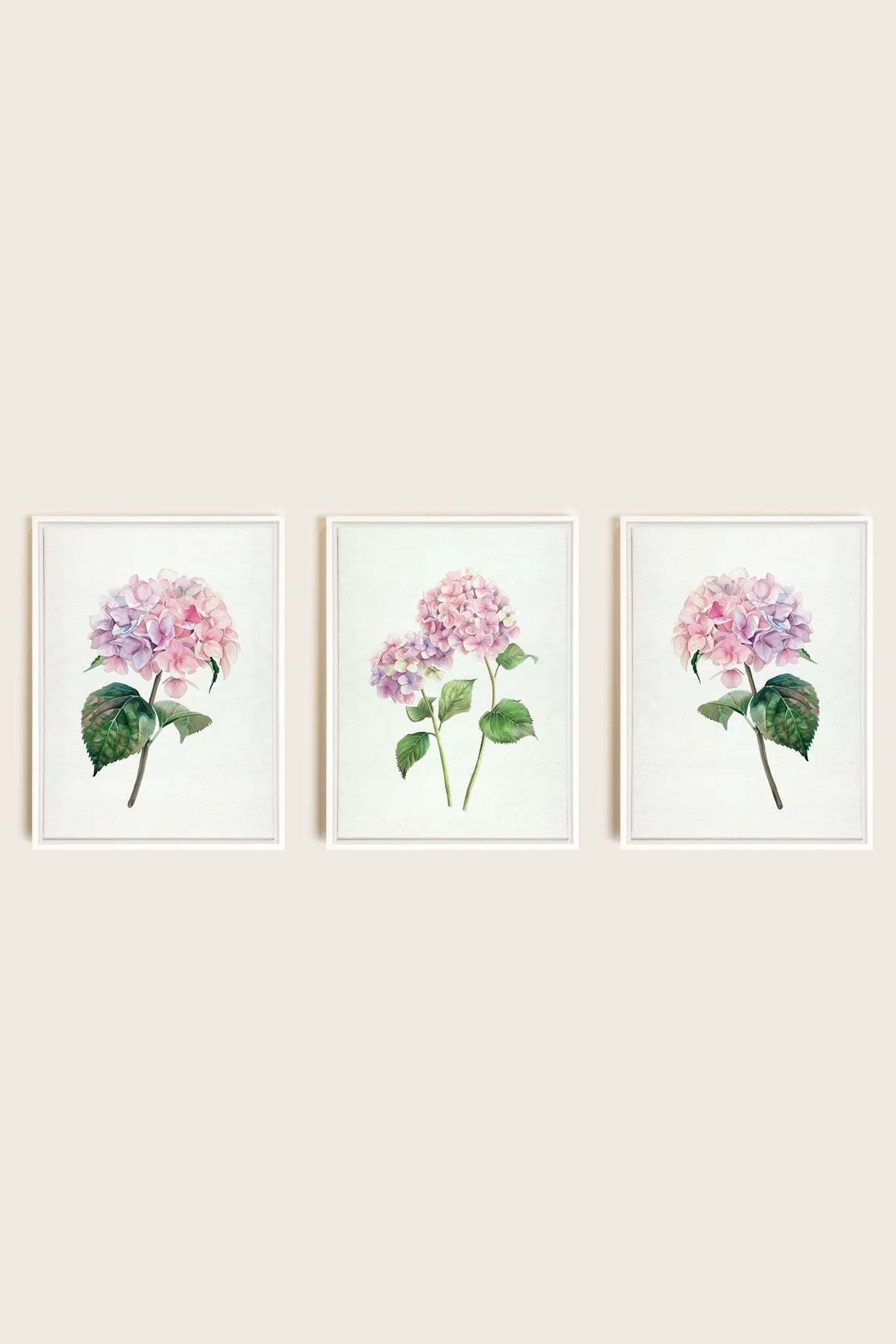 OLEKA CANVAS - BLOSSOMING TRIO, 3 Oeuvres sur toile étirée, encadré Blanc