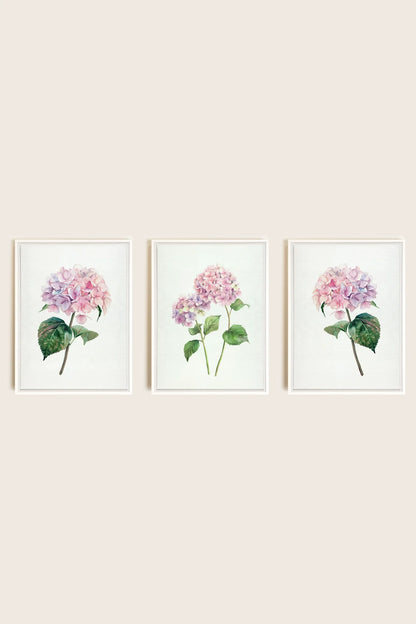 OLEKA CANVAS - BLOSSOMING TRIO, 3 Oeuvres sur toile étirée, encadré Blanc