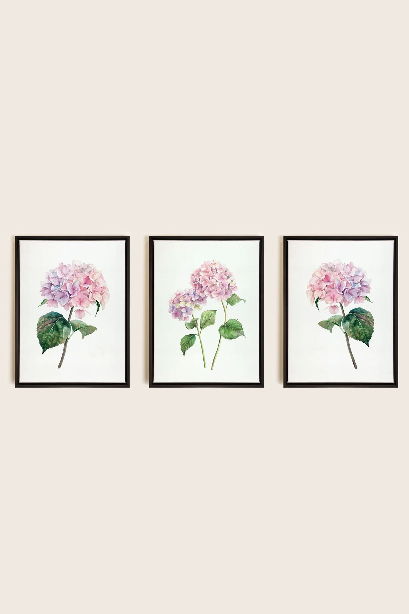 OLEKA CANVAS - BLOSSOMING TRIO, 3 Oeuvres sur toile étirée, encadré Noir