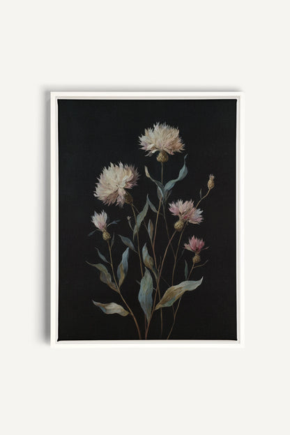 BLUSH FLORA, Work on stretched canvas, framed White