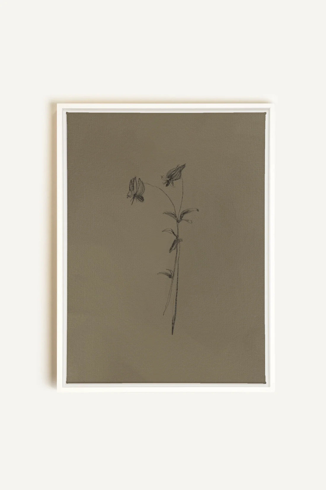 OLEKA CANVAS - BOUTON SAUVAGE, Oeuvre sur toile étirée, encadré Blanc