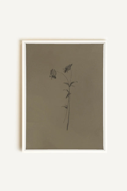 OLEKA CANVAS - BOUTON SAUVAGE, Oeuvre sur toile étirée, encadré Blanc