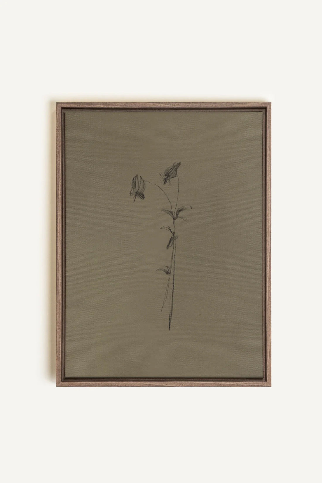 OLEKA CANVAS - BOUTON SAUVAGE, Oeuvre sur toile étirée, encadré Brun Chêne