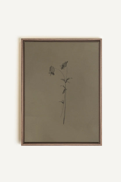 OLEKA CANVAS - BOUTON SAUVAGE, Oeuvre sur toile étirée, encadré Brun Chêne