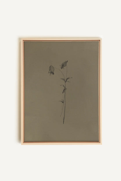 OLEKA CANVAS - BOUTON SAUVAGE, Oeuvre sur toile étirée, encadré Naturel Clair