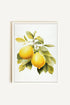 OLEKA CANVAS - BRANCH OF ZEST, Oeuvre sur toile étirée, encadré Blanc