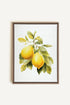 OLEKA CANVAS - BRANCH OF ZEST, Oeuvre sur toile étirée, encadré Brun Chêne