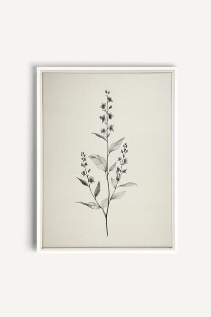 BRANCHE LÉGÈRE, Oeuvre sur toile étirée, encadré Blanc