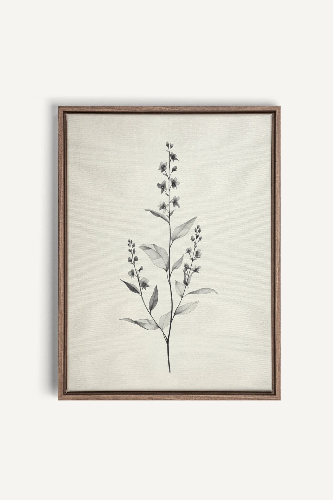 BRANCHE LÉGÈRE, Oeuvre sur toile étirée, encadré Brun Chêne