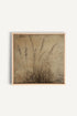 OLEKA CANVAS - CHAMPS OUBLIÉS, Oeuvre sur toile étirée, encadré Naturel Clair
