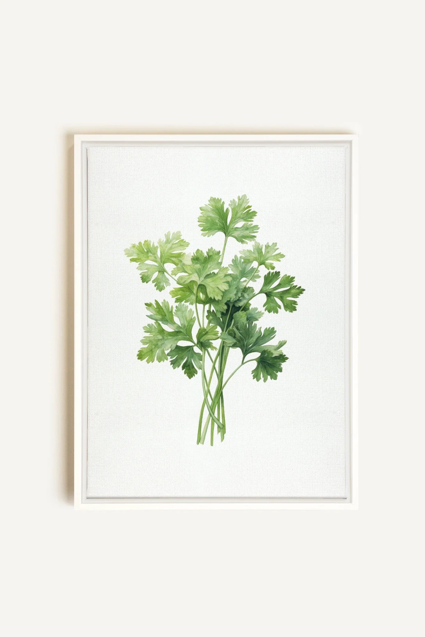 OLEKA CANVAS - CILANTRO, Oeuvre sur toile étirée, encadré Blanc